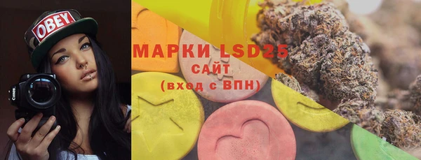 гидра Бронницы