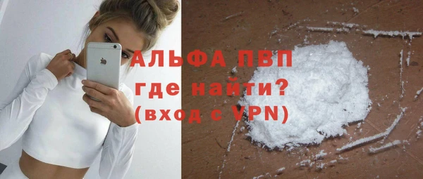 стафф Верхний Тагил