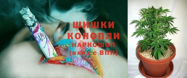 гидра Бронницы